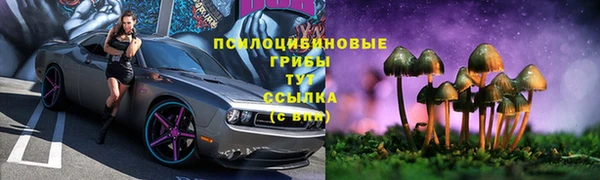 тгк Арсеньев