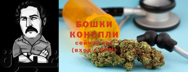 тгк Арсеньев