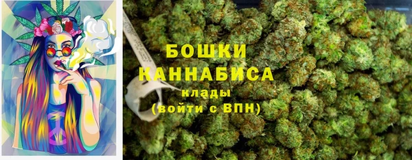 тгк Арсеньев