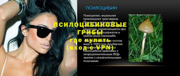 тгк Арсеньев