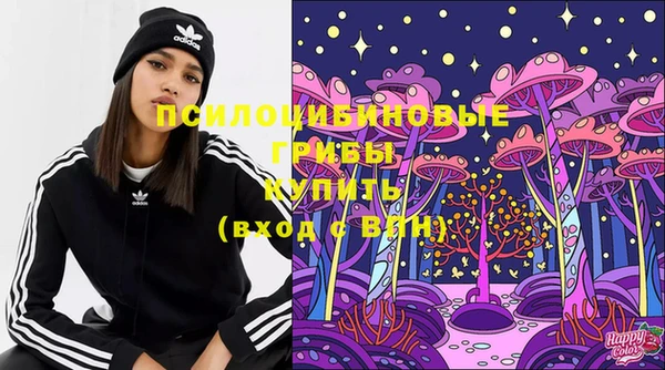 метадон Армянск
